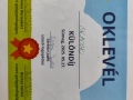 jyfy7Ono